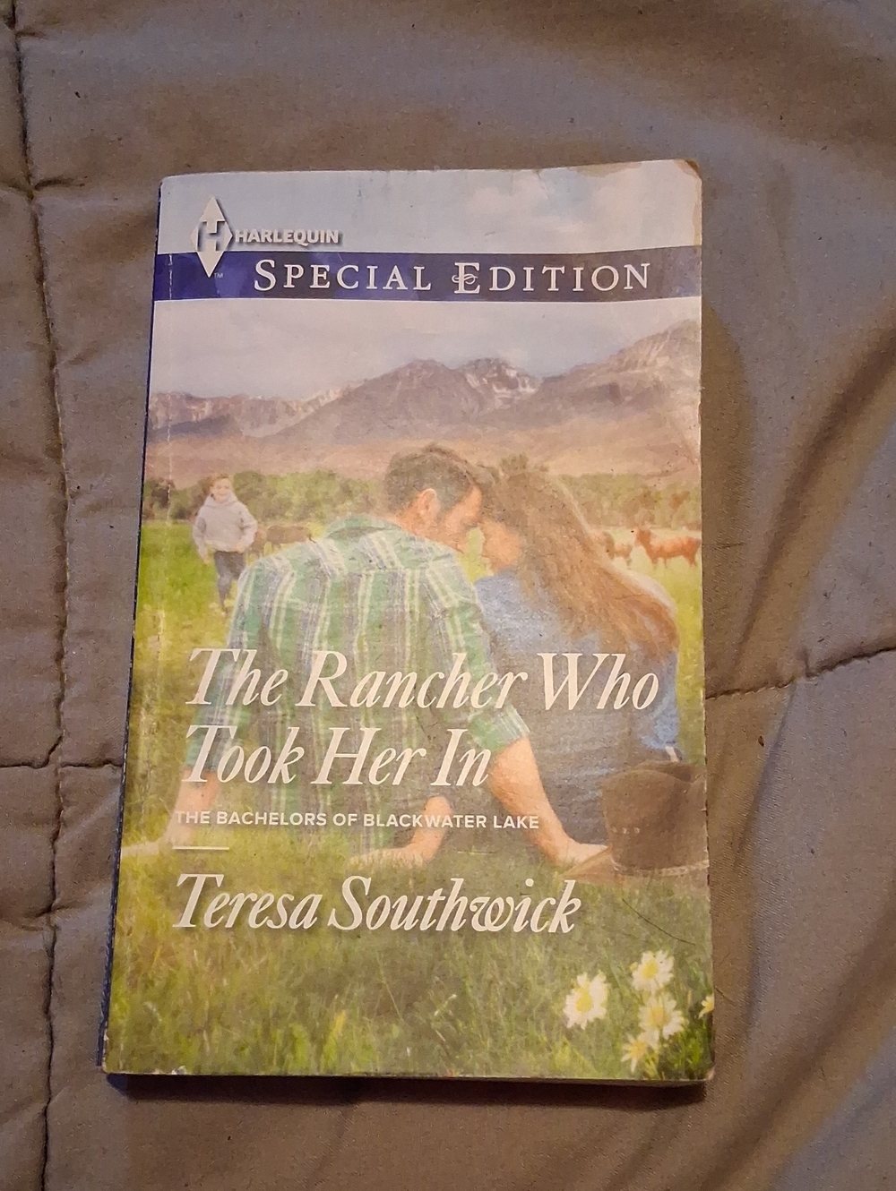 The Rancher Who Took Her In By Teresa Southwick